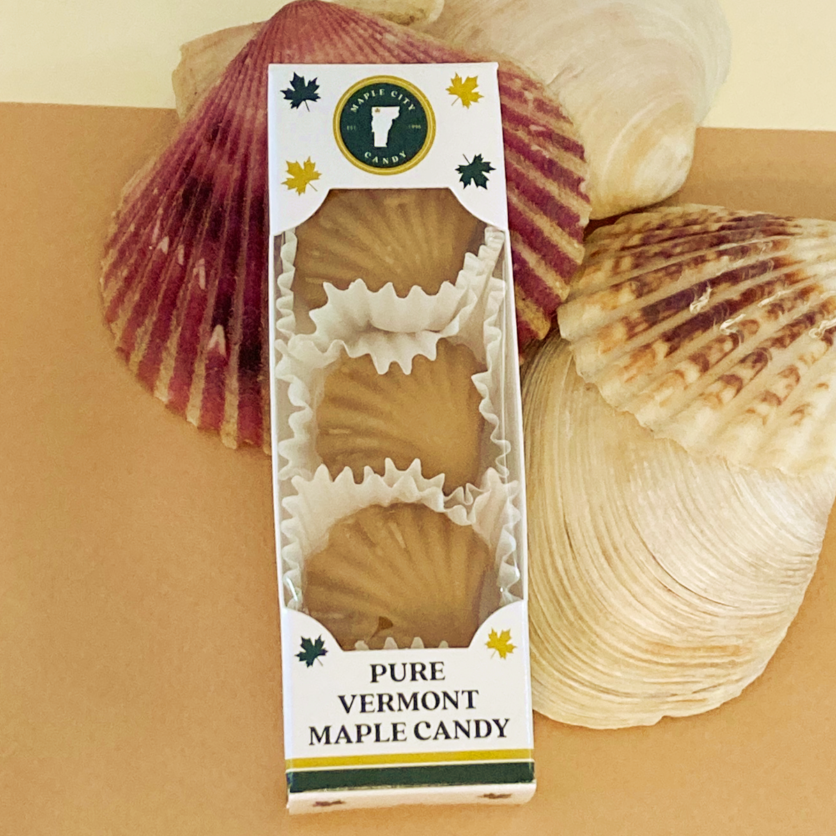 Maple Sugar Candy SEASHELLS, 3-piece box