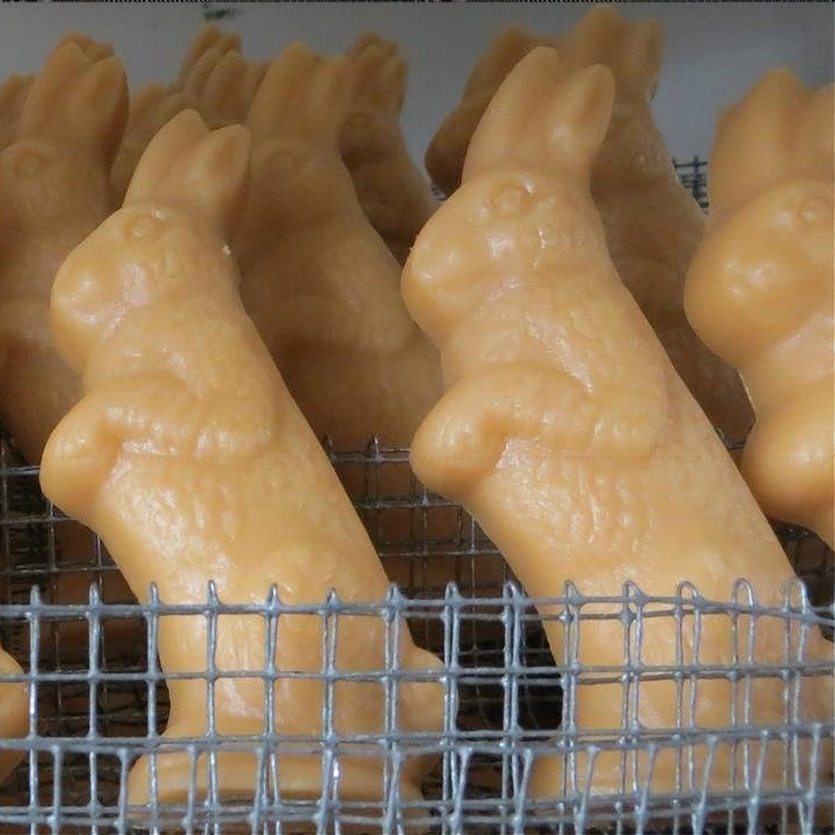Maple Sugar Candy Large EASTER BUNNY - Customer Favorite!