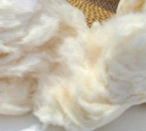 Maple Cotton Candy, 16 oz. Container